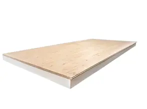 Pirunderlayment1